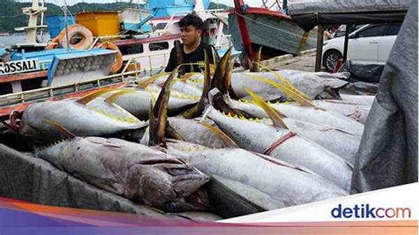 Industri Perikanan Meulaboh Naik 30 Persen Usai Dapat Bantuan Kapal