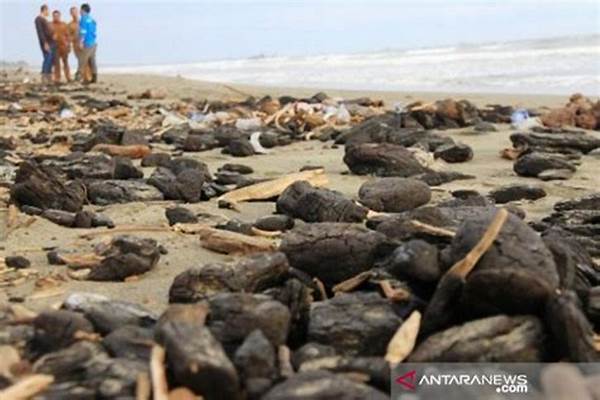 Tumpahan Batu Bara Di Pesisir Aceh Barat Jadi Sorotan Nasional