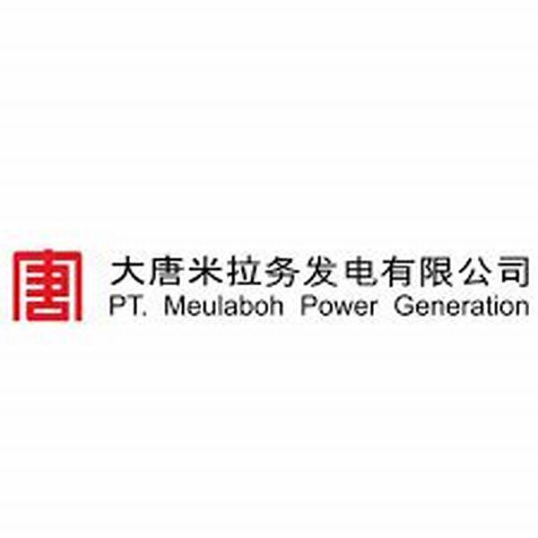 Pt Meulaboh Power Generation