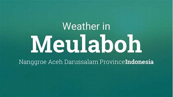 Weather Meulaboh